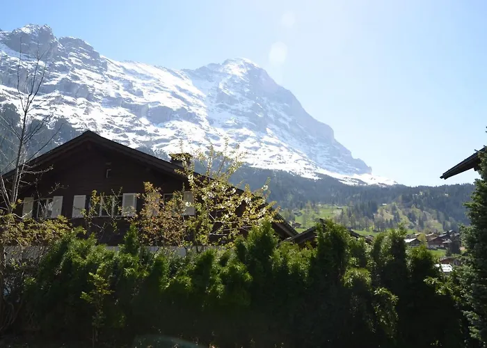 Шале Dolphin New!