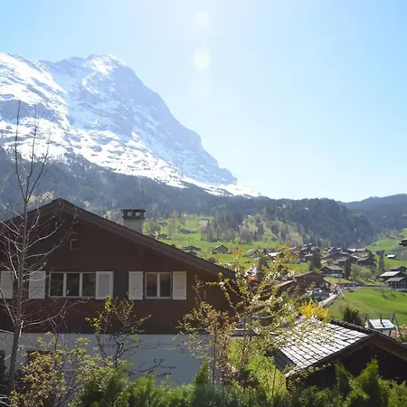 Dolphin New! Horská chata Grindelwald