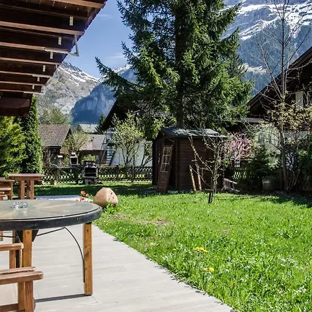 Dolphin New! Шале